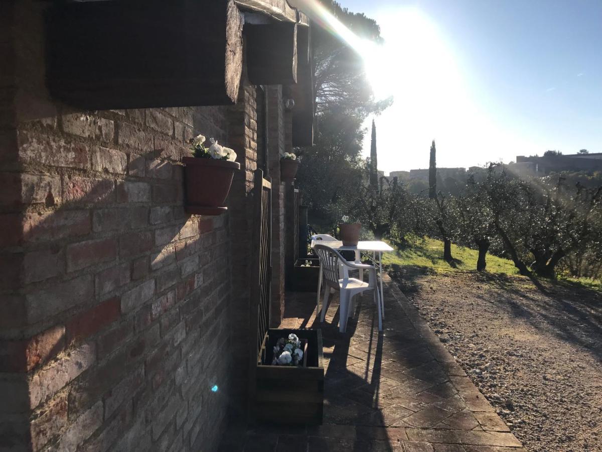 La Perla Tra Gli Ulivi Apartamento Siena Exterior foto
