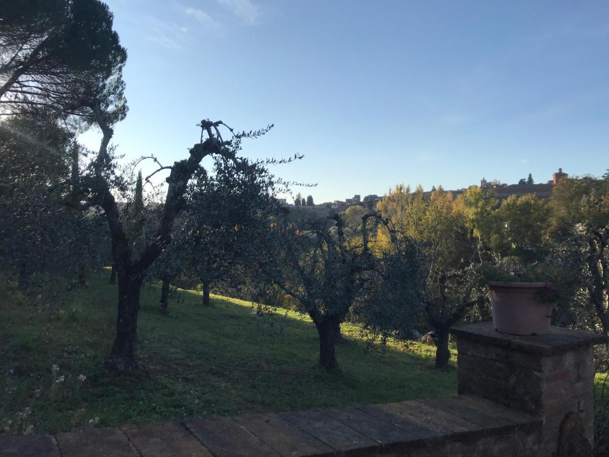 La Perla Tra Gli Ulivi Apartamento Siena Exterior foto