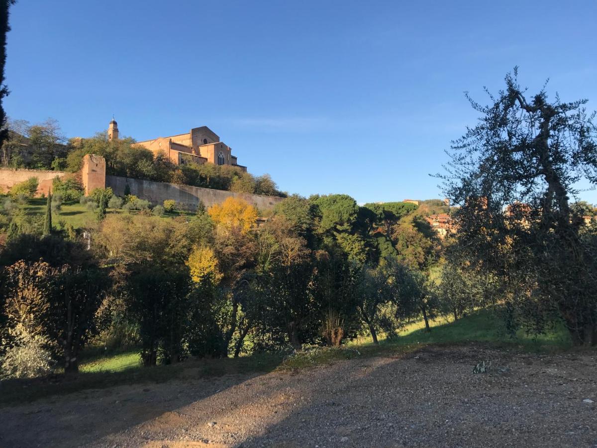 La Perla Tra Gli Ulivi Apartamento Siena Exterior foto